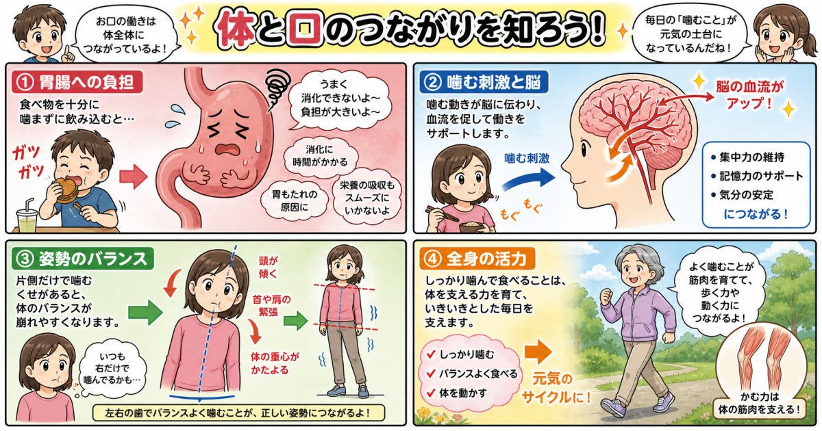 咀嚼力低下が身体へ及ぼす意外な全身リスク